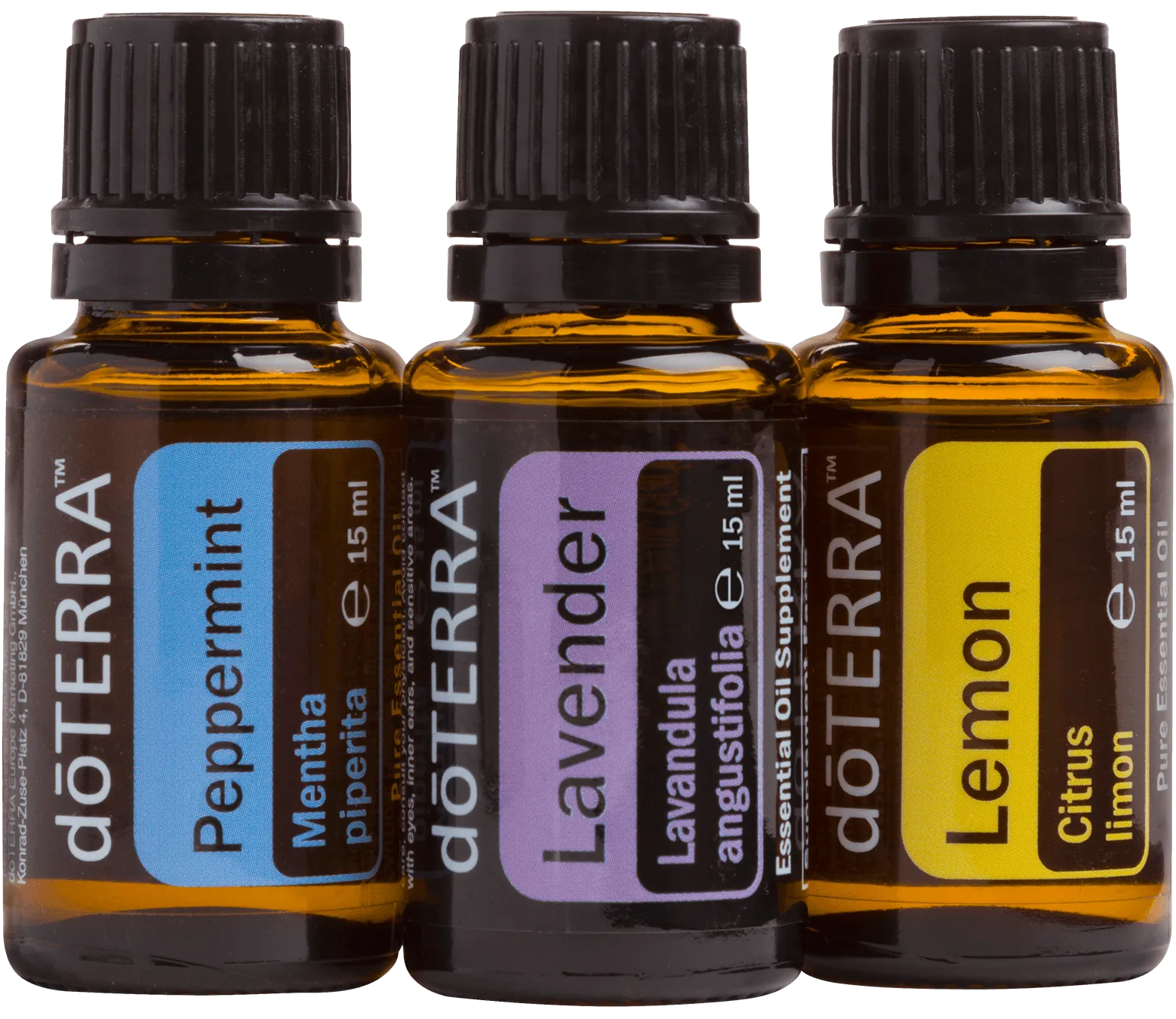 Beginner's Trio Kit