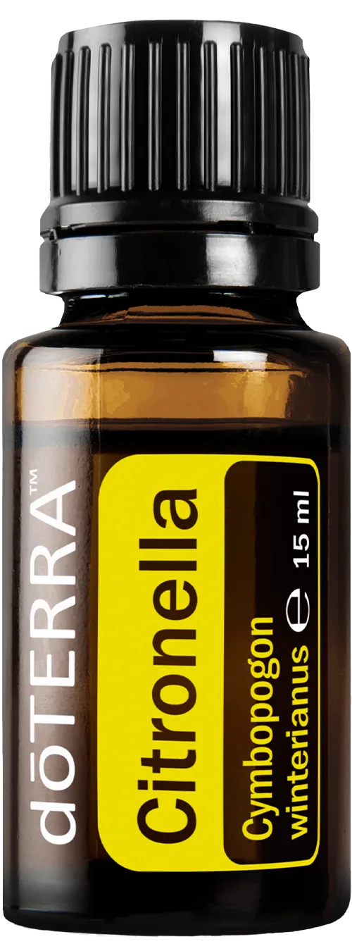 Citronella