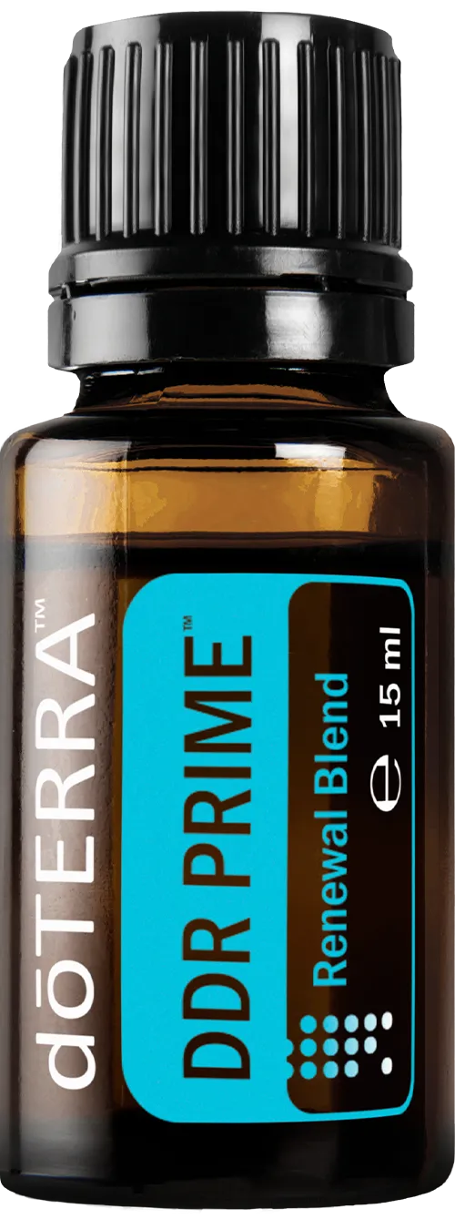DDR Prime™