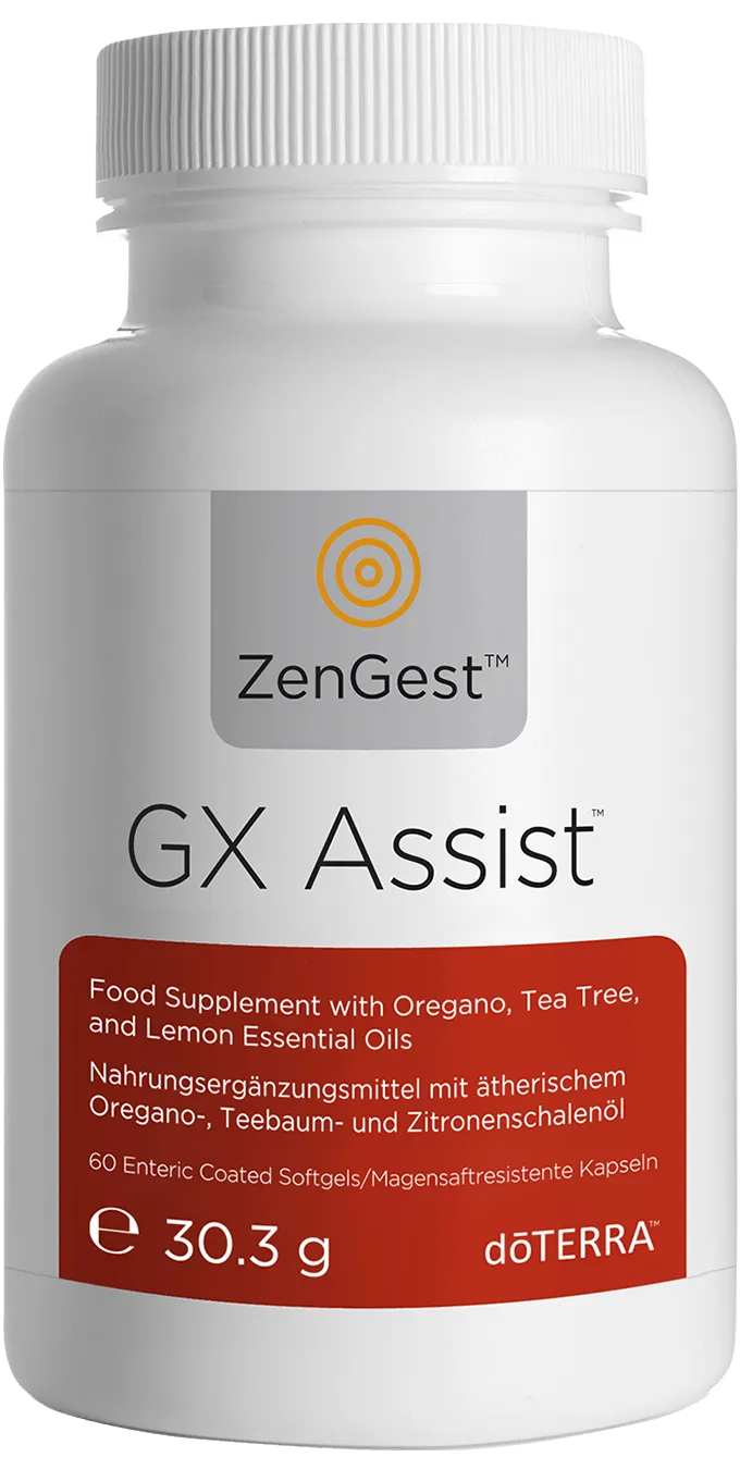 GX Assist™