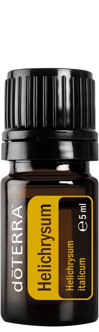Helichrysum