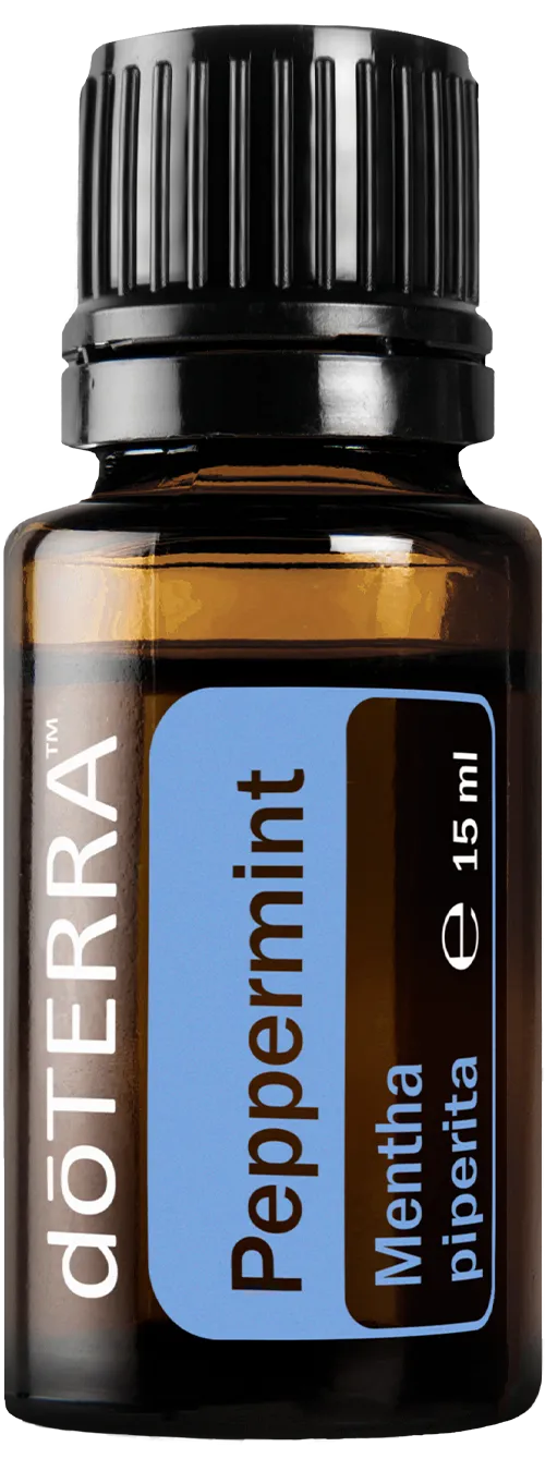Mentă
