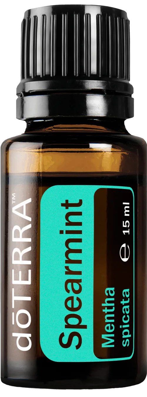 Mentă Creață