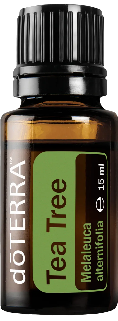 Tea Tree (Arbore de Ceai)